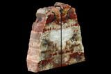 Tall, Arizona Petrified Wood Bookends - Red, Yellow & White #171986-1